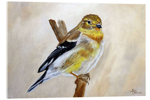 Akrylbilde American Goldfinch Portrait