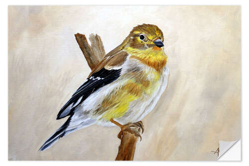 Wall sticker American Goldfinch Portrait