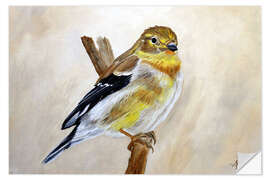 Wall sticker American Goldfinch Portrait