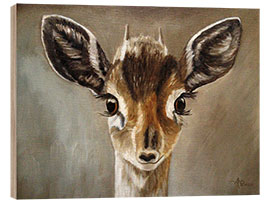 Trebilde Big Eyes Dik Dik