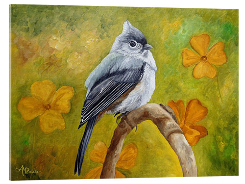Acrylic print Big Eyed Tufted Titmouse