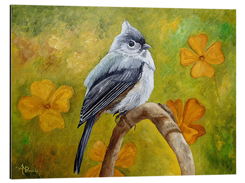 Tableau en aluminium Big Eyed Tufted Titmouse