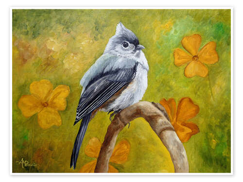 Plakat Big Eyed Tufted Titmouse