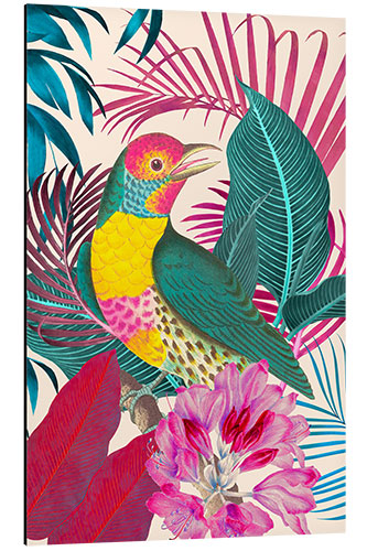 Stampa su alluminio Ecstatic Jungle Of Colours - Exotic Bird