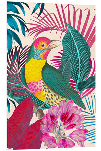 Bilde på skumplate Ecstatic Jungle Of Colours - Exotic Bird