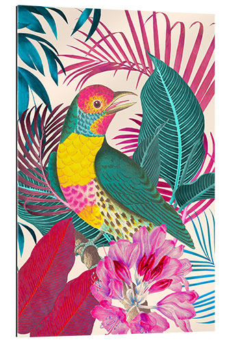 Gallery print Ecstatic Jungle Of Colours - Exotic Bird