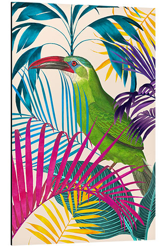 Tableau en aluminium Ecstatic Jungle Of Colours - Toucan