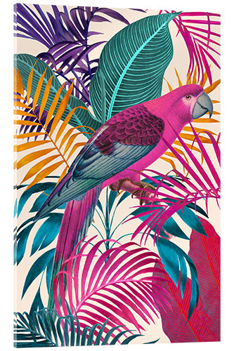 Acrylic print Ecstatic Jungle Of Colours - Pink Parrot
