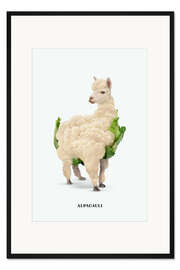 Gerahmter Kunstdruck Alpacauli