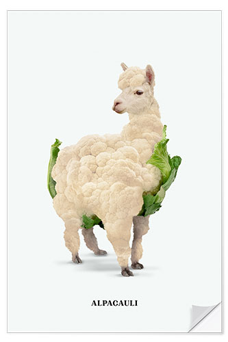 Wall sticker Alpacauli