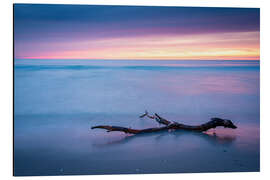 Aluminium print Sunset on the West Beach on Darß