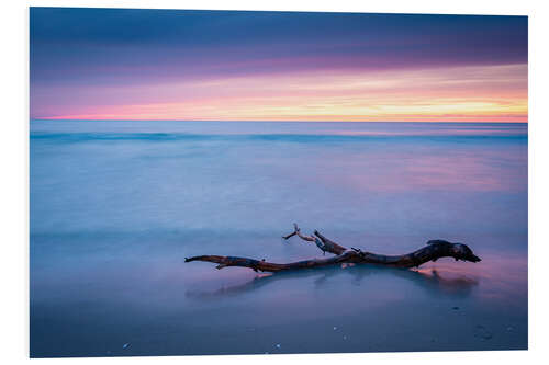 Foam board print Sunset on the West Beach on Darß