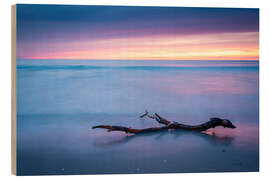 Tableau en bois Sunset on the West Beach on Darß