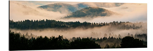 Cuadro de aluminio Bavarian Forest in the Fog