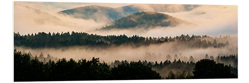 Hartschaumbild Bayerischer Wald im Nebel