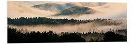 Foam board print Bavarian Forest in the Fog