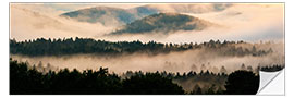 Sticker mural Bavarian Forest in the Fog