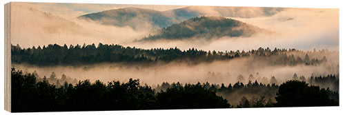 Holzbild Bayerischer Wald im Nebel