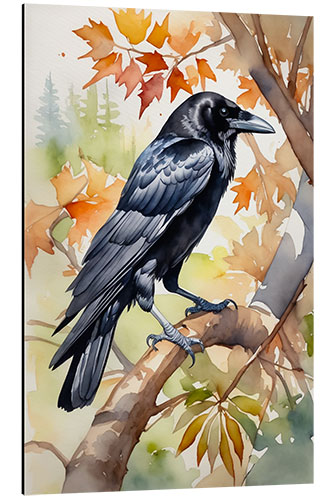 Aluminium print Carrion Crow