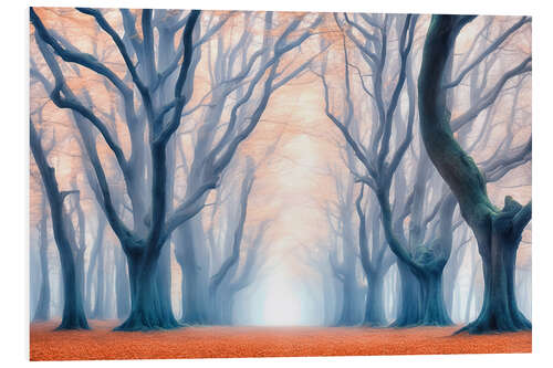 PVC print Early Morning