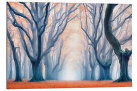 Magnettafel Bäume am Morgen