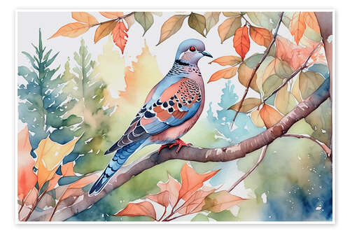 Poster Turtle Dove