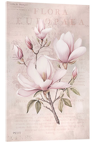 Tableau en verre acrylique Magnolia Romance I