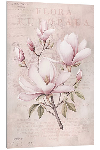 Stampa su alluminio Magnolia Romance I