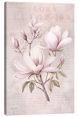 Leinwandbild Magnolia Romance I