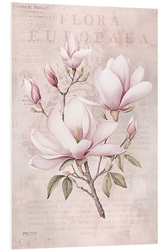 Foam board print Magnolia Romance I