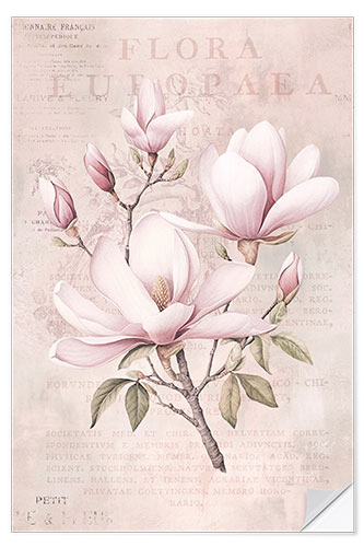 Sticker mural Magnolia Romance I