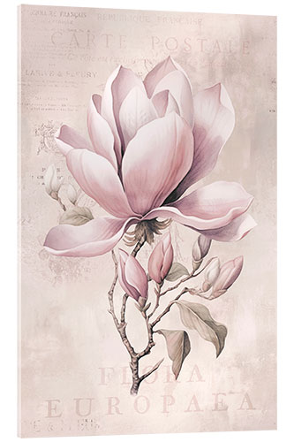 Quadro em acrílico Magnolia Romance II