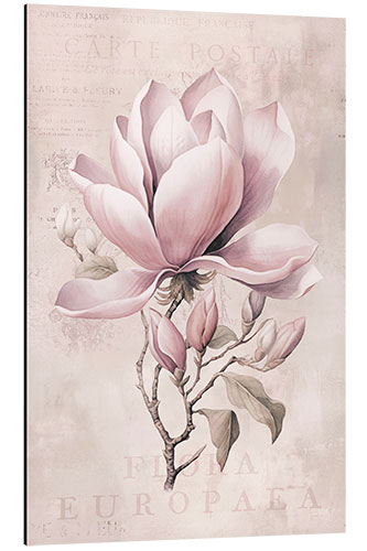 Tableau en aluminium Magnolia Romance II