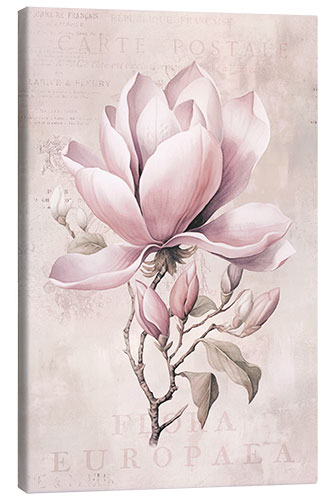 Canvas print Magnolia Romance II