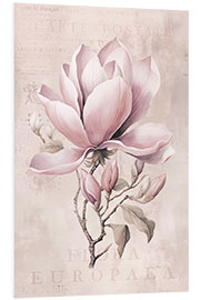 Foam board print Magnolia Romance II