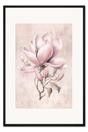 Gerahmter Kunstdruck Magnolia Romance II