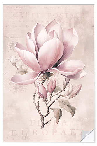 Wall sticker Magnolia Romance II