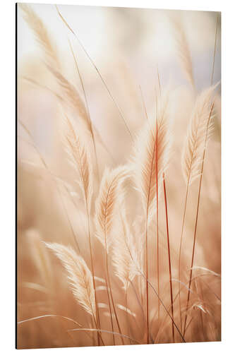 Aluminium print Fluffy Dream Field