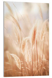 Gallery print Fluffy Dream Field