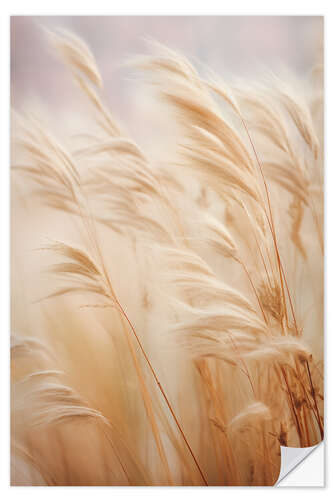 Selvklebende plakat Silver Pampas Feather