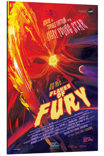 Cuadro de aluminio Flares of Fury