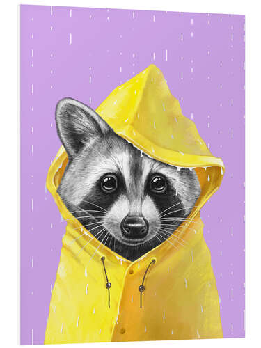 Tableau en PVC Raccoon in the Rain