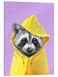 Galleriataulu Raccoon in the Rain