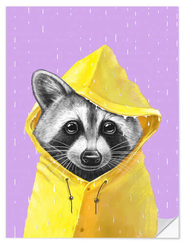 Wandsticker Waschbär im Regen