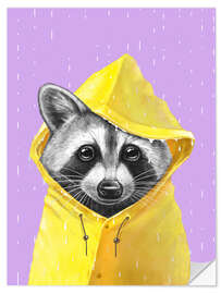 Muursticker Raccoon in the Rain