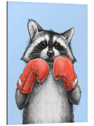 Quadro em alumínio Raccoon Boxer