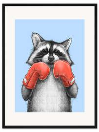 Gerahmter Kunstdruck Waschbär-Boxer