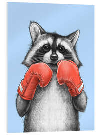 Quadro em plexi-alumínio Raccoon Boxer