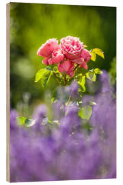 Wood print Dream Garden With Rose and Lavender