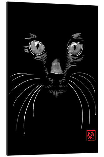 Acrylglasbild Cat in Black